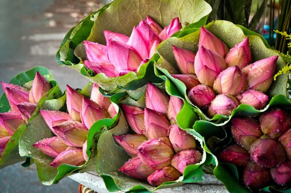 Tháng 6 chọn điểm du lịch nào cho phù hợp? ảnh 1